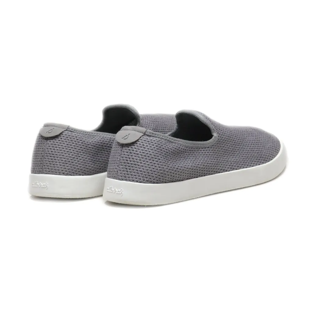 Allbirds Tree Loungers Sport Shoes Fabric Grey Colour For Men